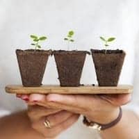 Eine Person hält ein Tablett mit drei Pflanzen darauf - eine Metapher für People Management